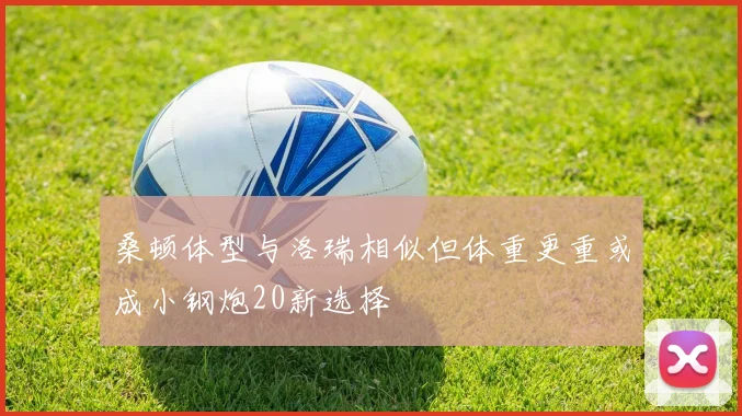 桑顿体型与洛瑞相似但体重更重或成小钢炮20新选择