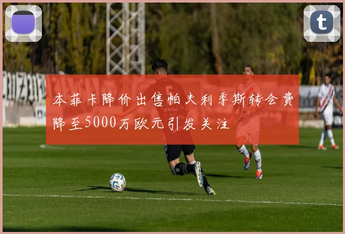 本菲卡降价出售帕夫利季斯转会费降至5000万欧元引发关注