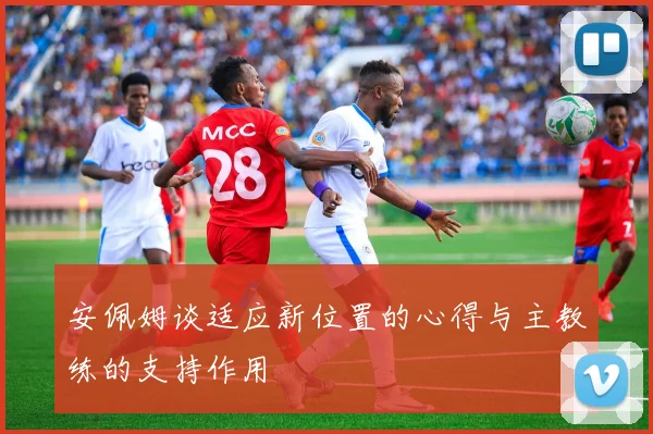 安佩姆谈适应新位置的心得与主教练的支持作用